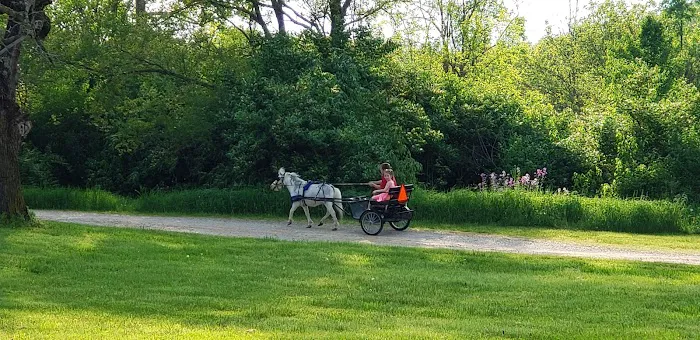 Sycamore State Park Group Camp 5