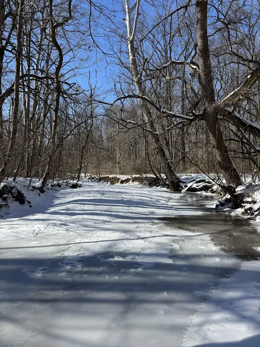 Sycamore State Park Group Camp 8