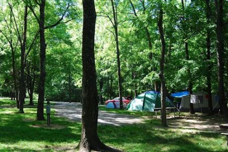 Miami Whitewater Forest Campground