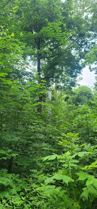 Miami Whitewater Forest Campground 5