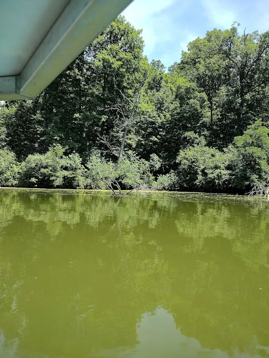 Miami Whitewater Forest Campground 6