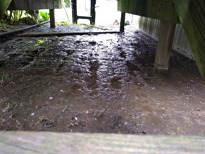Branch Hill Mobile Home Park 7