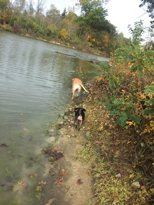 Winton Woods Campground 4