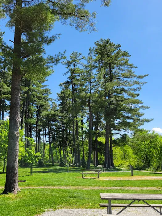 Winton Woods Campground 6