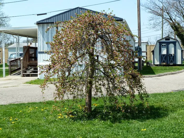 Hazelhurst Mobile Home Park 3