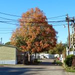 Hazelhurst Mobile Home Park