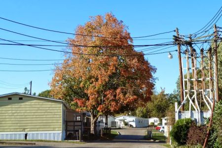Hazelhurst Mobile Home Park