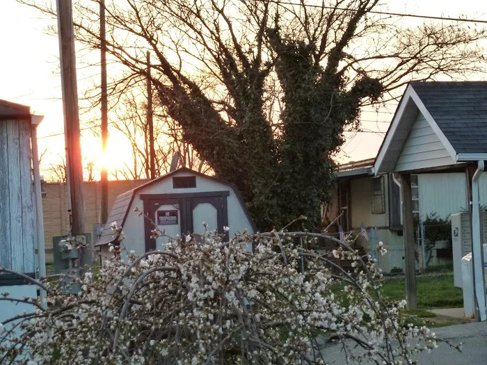 Hazelhurst Mobile Home Park 5