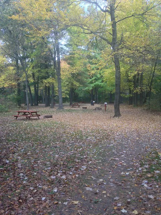 Pine Harbor Campground 6