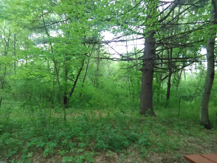 Pine Harbor Campground 9