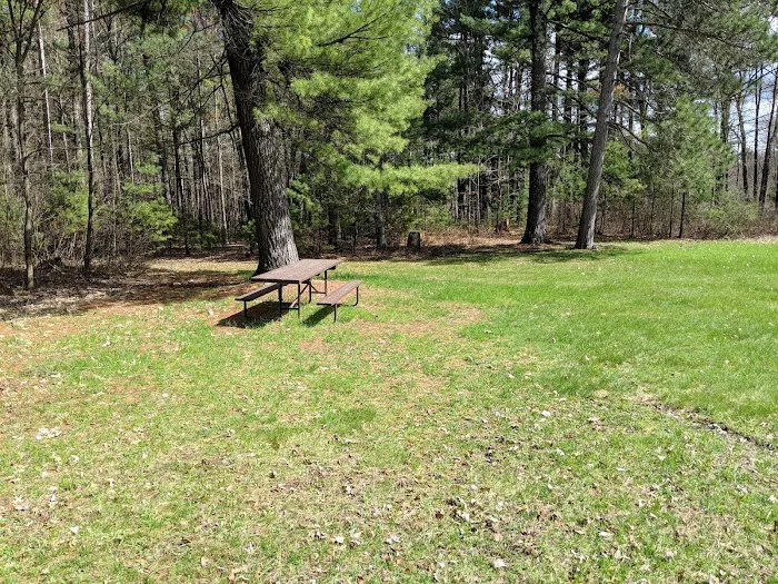 Group Campground 8