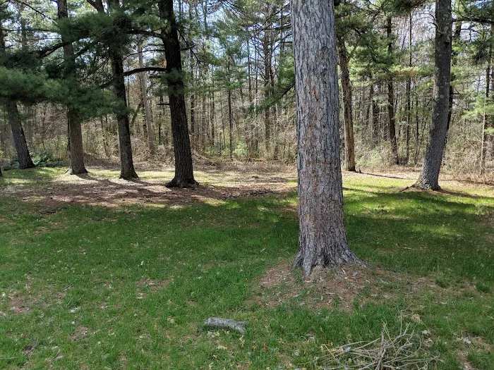 Group Campground 5
