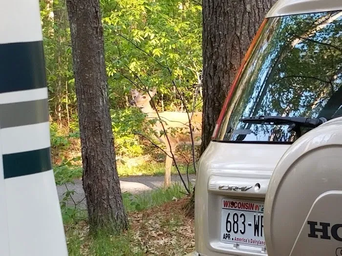 Family Campground 10