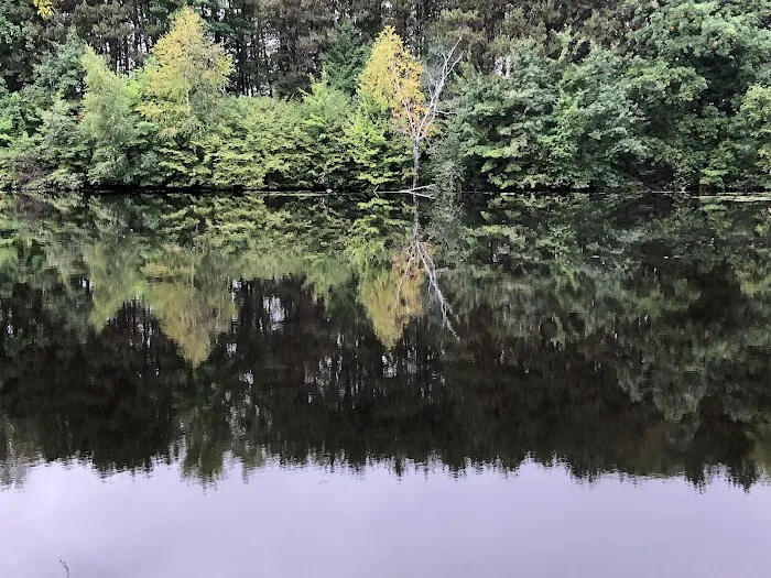 Pine Point Campground 2