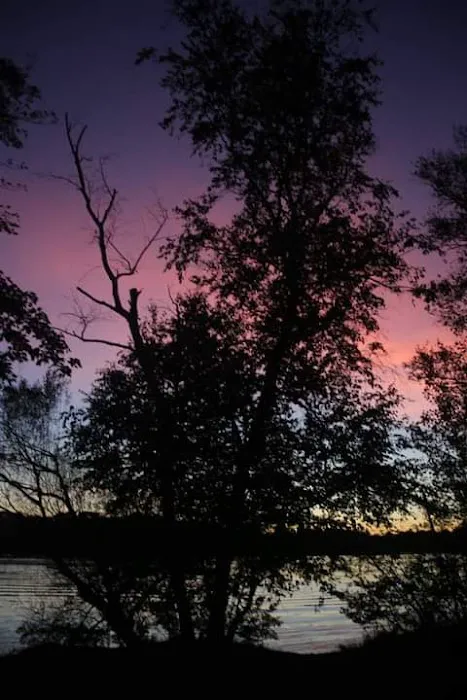 Pine Point Campground 5