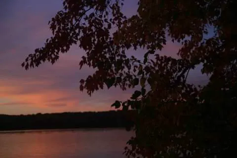 Pine Point Campground 9