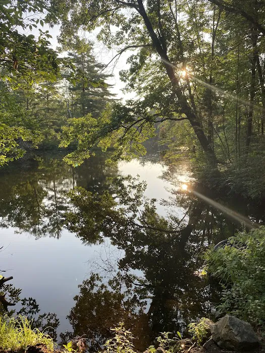 Pine Point Campground 10