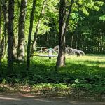 White Birch Inc