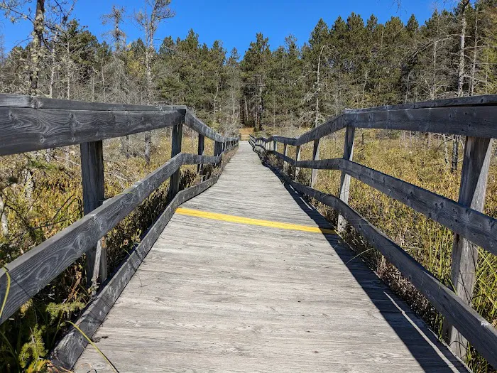 Glidden Lake State Forest Campground 1