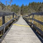 Glidden Lake State Forest Campground