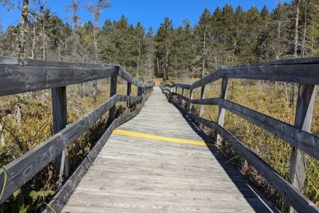 Glidden Lake State Forest Campground