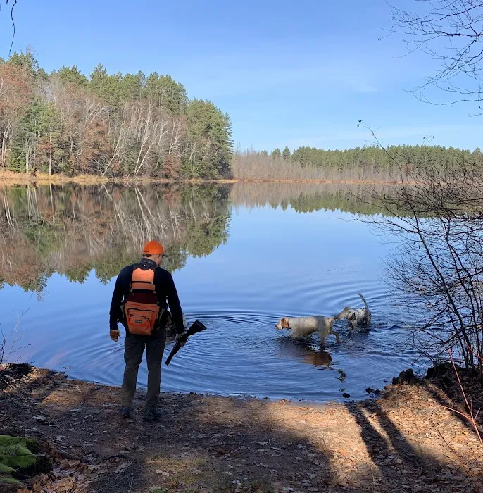 Glidden Lake State Forest Campground 2