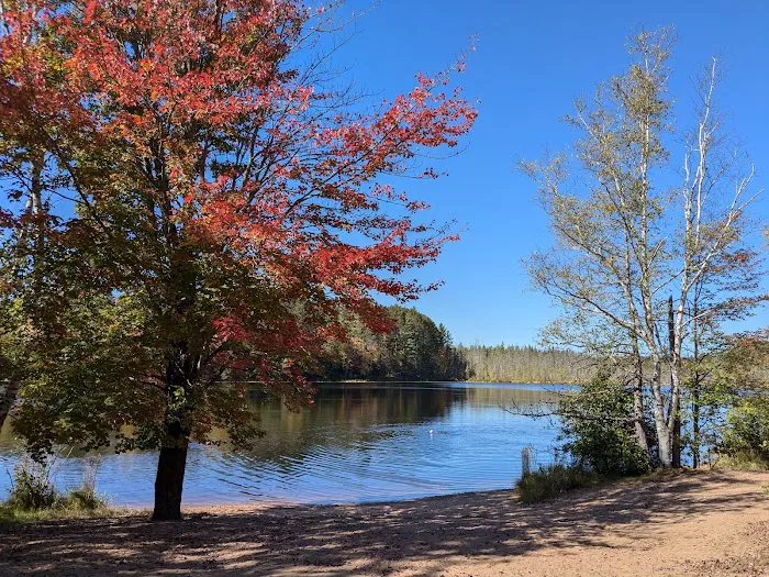 Glidden Lake State Forest Campground 8