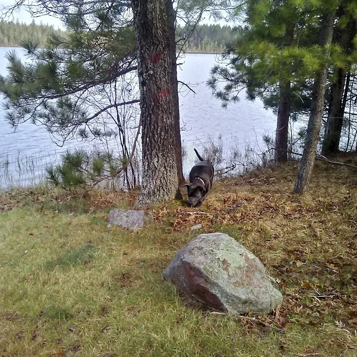 Glidden Lake State Forest Campground 10