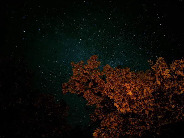 Glidden Lake State Forest Campground 7