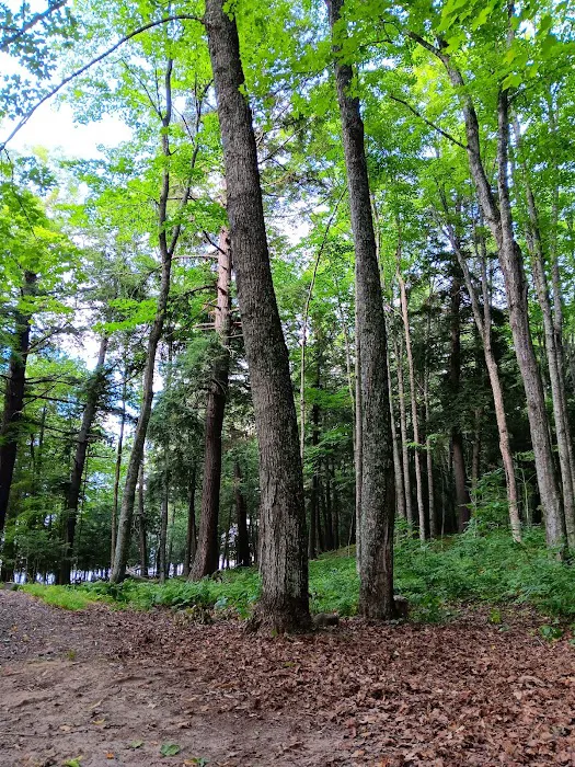 Lake Ottawa Recreation Area 9