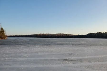 Genes Pond State Forest Campground