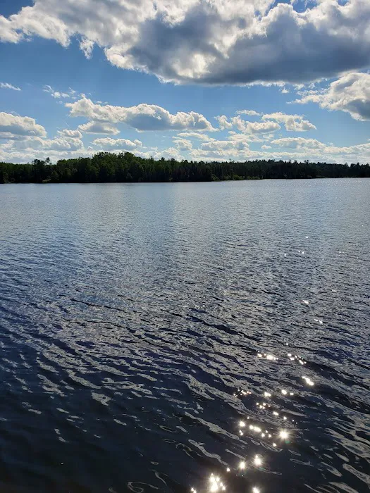 Genes Pond State Forest Campground 6