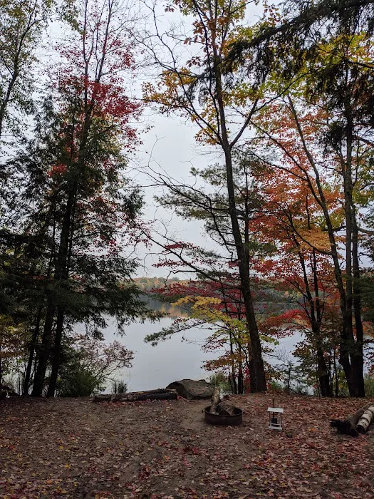 Bose Lake Campsite 1