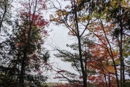 Bose Lake Campsite