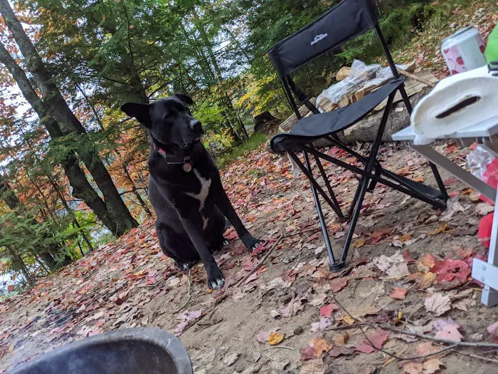 Bose Lake Campsite 8