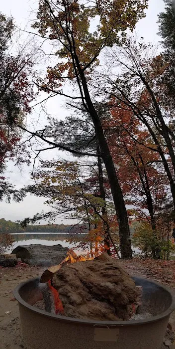 Bose Lake Campsite 4