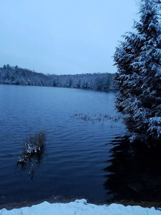 Quartz Lake Campgroup 2