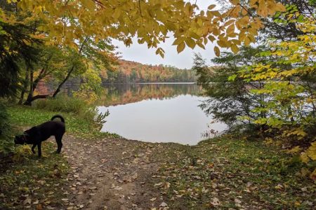 Quartz Lake Campgroup