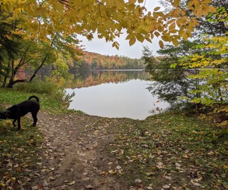 Quartz Lake Campgroup