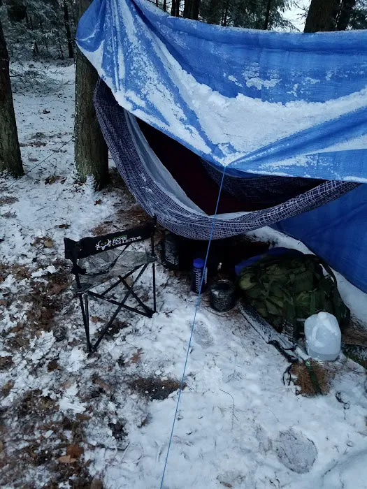 Quartz Lake Campgroup 4