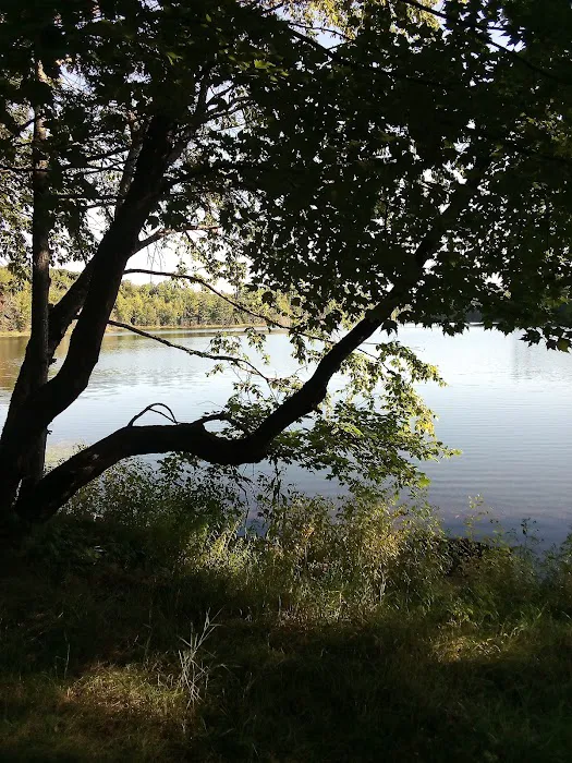 Quartz Lake Campgroup 7