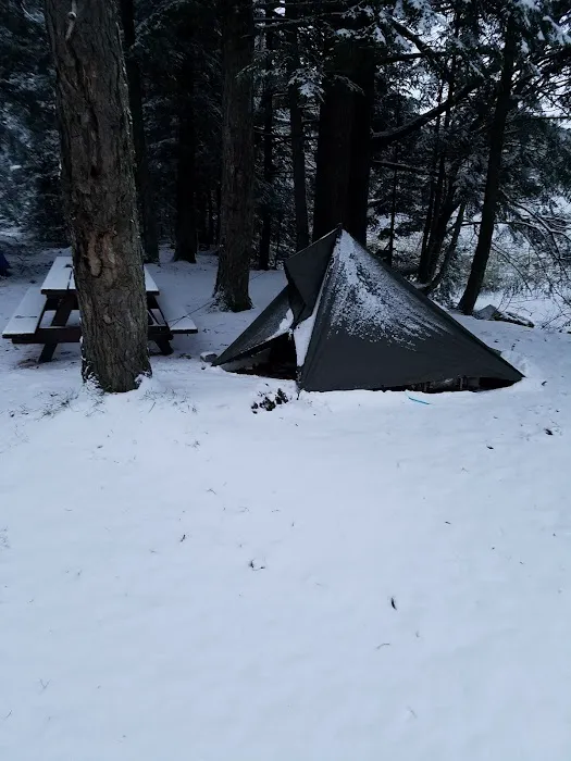 Quartz Lake Campgroup 10