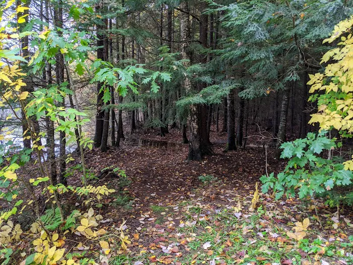 Quartz Lake Campgroup 9