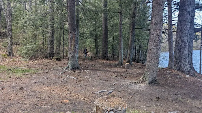 Quartz Lake Campgroup 6