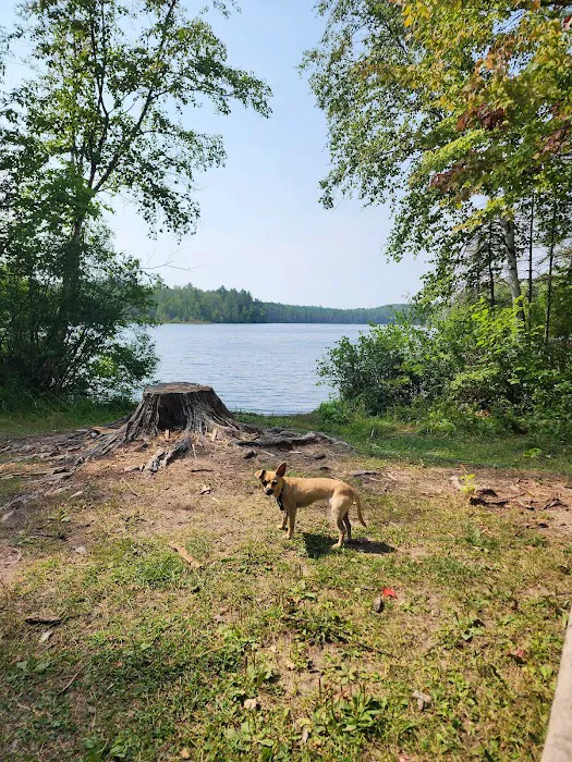 Robinson Lake Campsite 1
