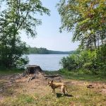 Robinson Lake Campsite