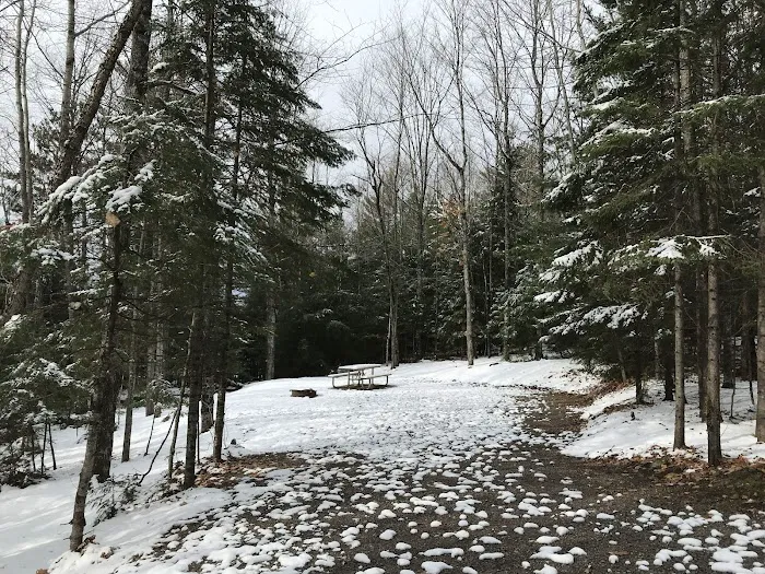 Franklin Lake Campground 6