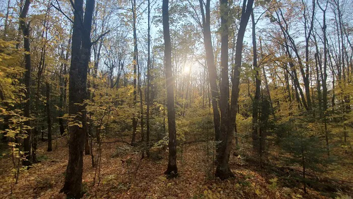 Kentuck Lake Campground 5