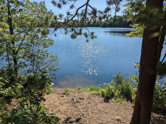 Cunard Lake Campground 7