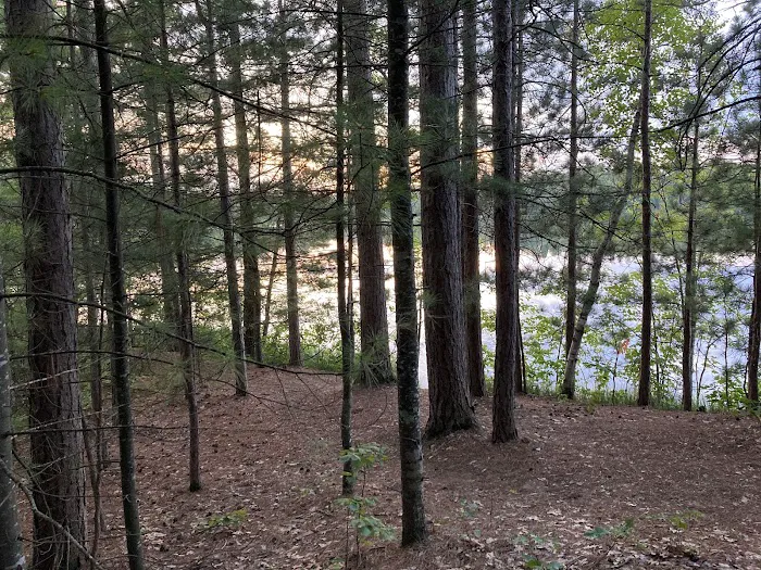 Cunard Lake Campground 8